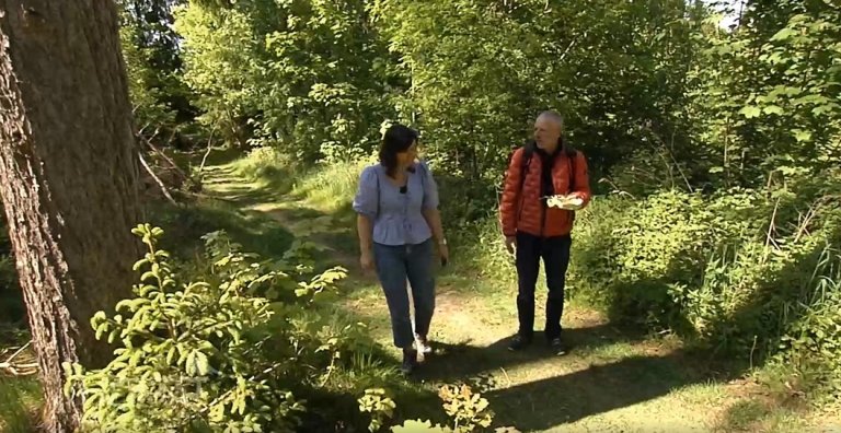Heimatgschichtn -Auf einer Schwammerl-Wanderung in Ilmmünster