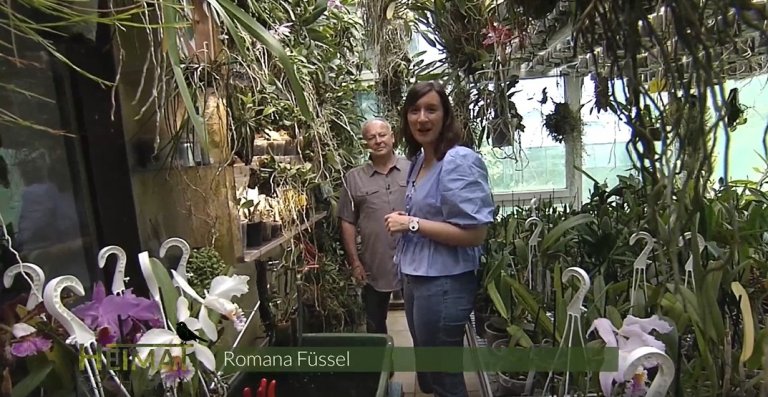 Heimatgscgichtn -Beim Orchideen Strauß in Ilmmünster
