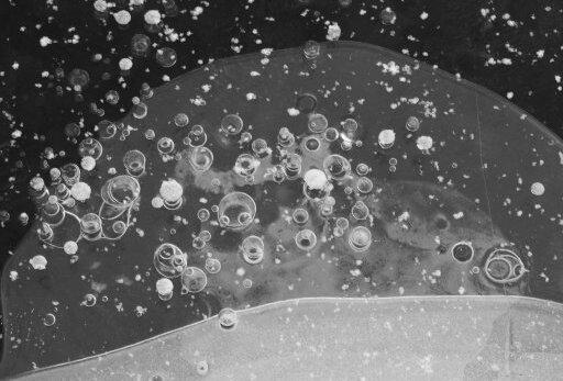 Teaser schwarz weiß